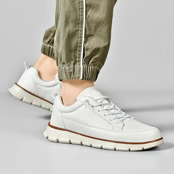 Torricelli Leather Trainers