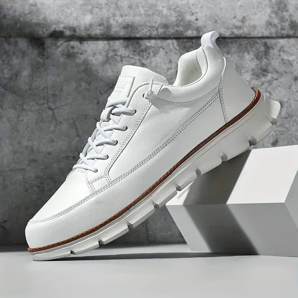 Torricelli Leather Trainers